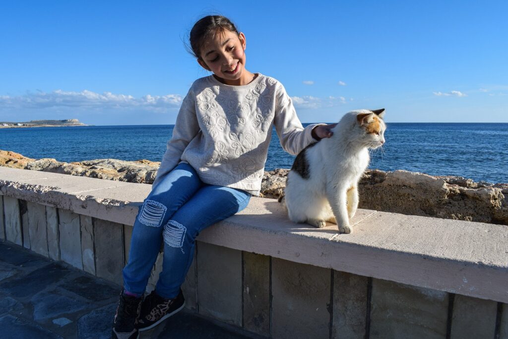 海岸の猫と少女